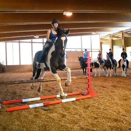 Wohlfuehlresort Und Feriengut Martinerhof Sankt Martin am Tennengebirge