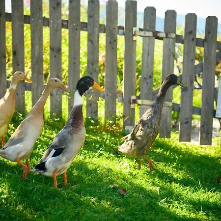 Wohlfuehlresort Und Feriengut Martinerhof 4*