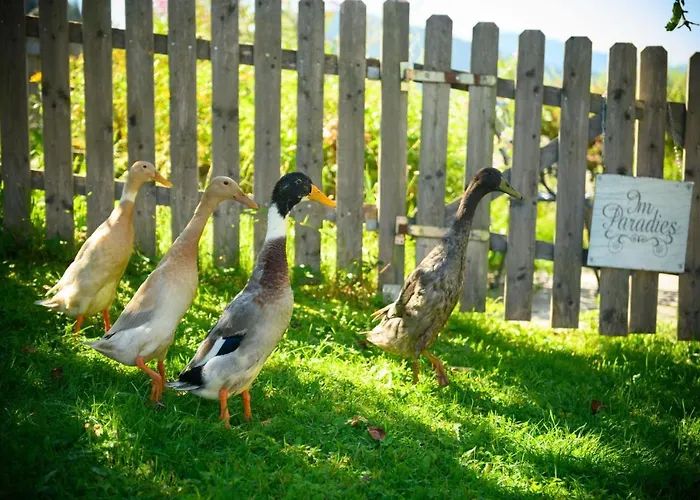 Wohlfuehlresort Und Feriengut Martinerhof 4*